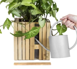 GrowOn - Flere Træsorter (Variant: Mørk Eg)