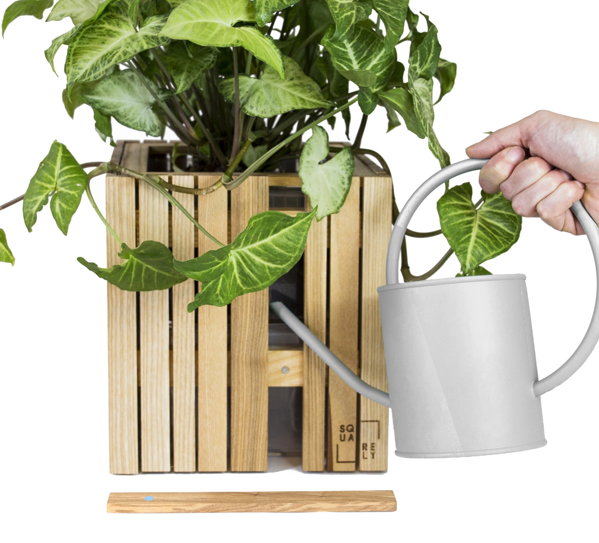 GrowOn - Flere Træsorter (Variant: Mørk Eg)