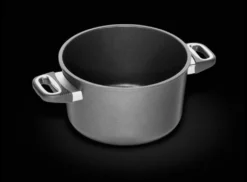 Gryde Til Induktion Ø24 Cm - AMT GASTROGUS - WORLDS BEST PAN