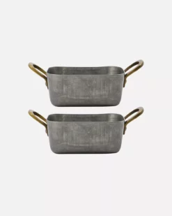 Mini-bradepande, Presentation