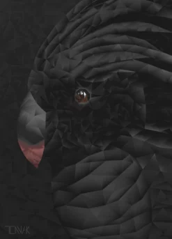 No. 3001 - Papegøje, TENNA KRAMER DESIGN