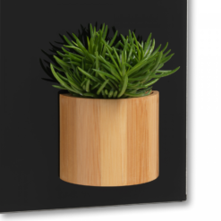 Naga Super Stærk Magnetisk Rund Bambus Boks