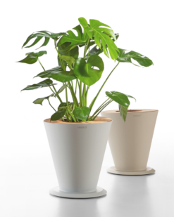 Urtepotte Fra Higold - Icoo